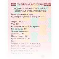 СТС СТС